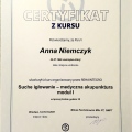Powiększ obraz: certificate 1