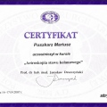 Powiększ obraz: certificate 13
