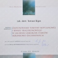 Powiększ obraz: certificate 19