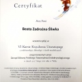 Powiększ obraz: certificate 6