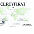 Powiększ obraz: certificate 3