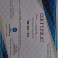 Powiększ obraz: certificate 2