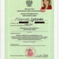 Powiększ obraz: certificate 2