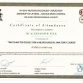 Powiększ obraz: certificate 7