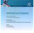 Powiększ obraz: certificate 16