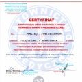 Powiększ obraz: certificate 13