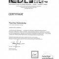 Powiększ obraz: certificate 2