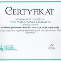 Powiększ obraz: certificate 19