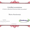 Powiększ obraz: certificate 35