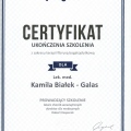 Powiększ obraz: certificate 28