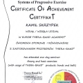 Powiększ obraz: certificate 2