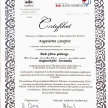 Powiększ obraz: certificate 3