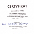 Powiększ obraz: certificate 2