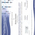 Powiększ obraz: certificate 54