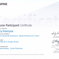 Powiększ obraz: certificate 8