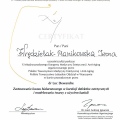Powiększ obraz: certificate 20
