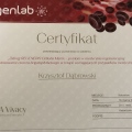 Powiększ obraz: certificate 51