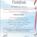 Powiększ obraz: certificate 1