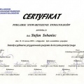 Powiększ obraz: certificate 10