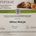 Powiększ obraz: certificate 5