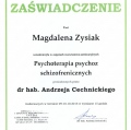 Powiększ obraz: certificate 7