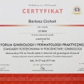 Powiększ obraz: certificate 8