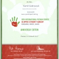 Powiększ obraz: certificate 9