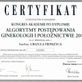 Powiększ obraz: certificate 28