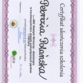 Powiększ obraz: certificate 5