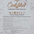 Powiększ obraz: certificate 13