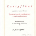 Powiększ obraz: certificate 8