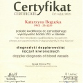 Powiększ obraz: certificate 2