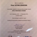 Powiększ obraz: certificate 2