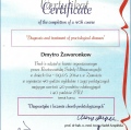 Powiększ obraz: certificate 12