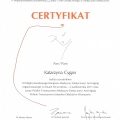 Powiększ obraz: certificate 7