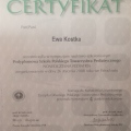 Powiększ obraz: certificate 5