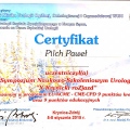 Powiększ obraz: certificate 27