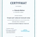 Powiększ obraz: certificate 17