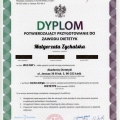 Powiększ obraz: certificate 1