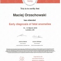 Powiększ obraz: certificate 66