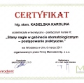 Powiększ obraz: certificate 8