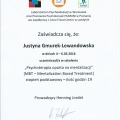 Powiększ obraz: certificate 2