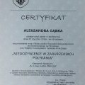 Powiększ obraz: certificate 2