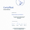 Powiększ obraz: certificate 20