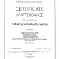 Powiększ obraz: certificate 4