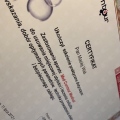Powiększ obraz: certificate 7