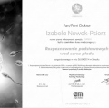 Powiększ obraz: certificate 20