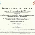 Powiększ obraz: certificate 33