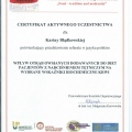 Powiększ obraz: certificate 21