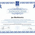 Powiększ obraz: certificate 17